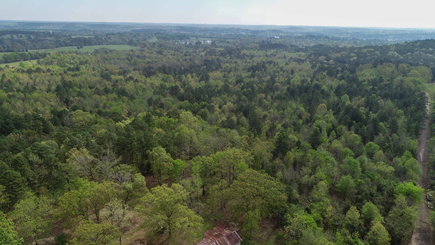 Farris 115 Timber: 00 CR 2215, Daingerfield, TX 75638